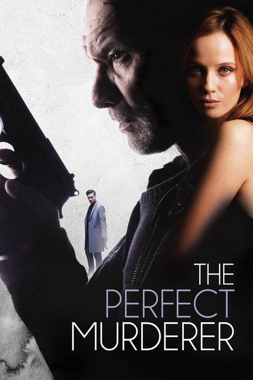 Movie poster for The Perfect Murderer (2017)