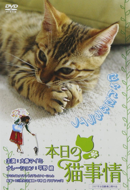 Movie poster for Honjitsu no neko jijô (2007)