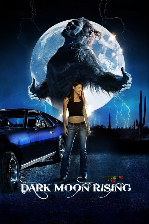 Movie poster for Dark Moon Rising (2009)