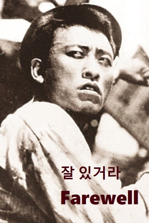 Movie poster for Farewell (1927)