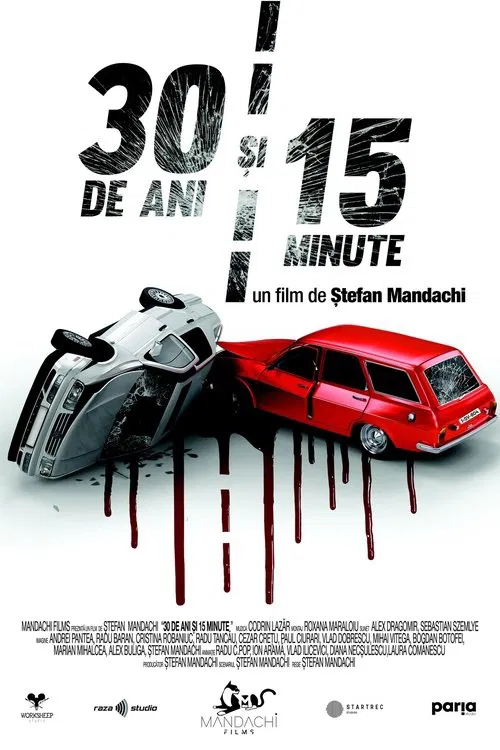 Movie poster for 30 Years and 15 Minutes (2020)