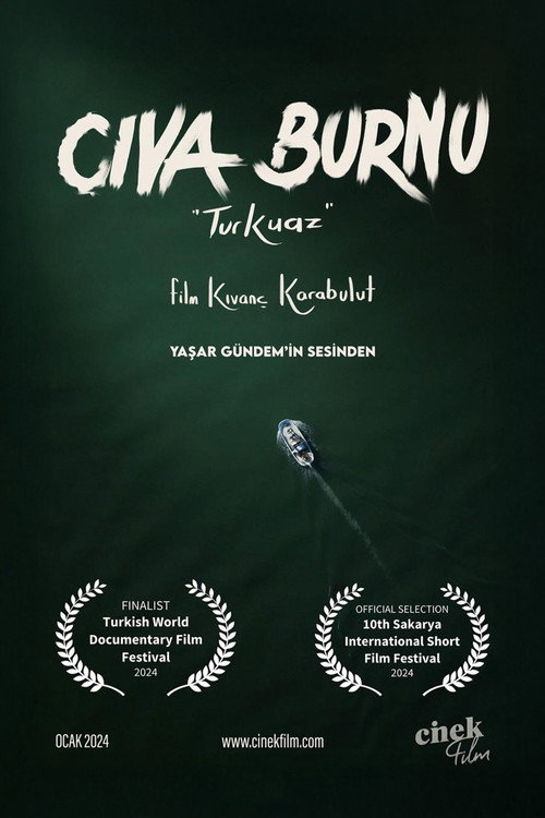 Movie poster for Cıva Burnu "Turkuaz" (2024)