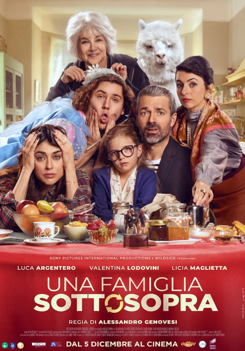 Movie poster for A Family Upside Down (2025)