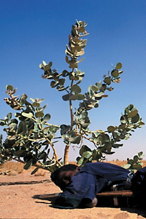 Movie poster for Tchissète, The Mirror of the Tuareg (2004)