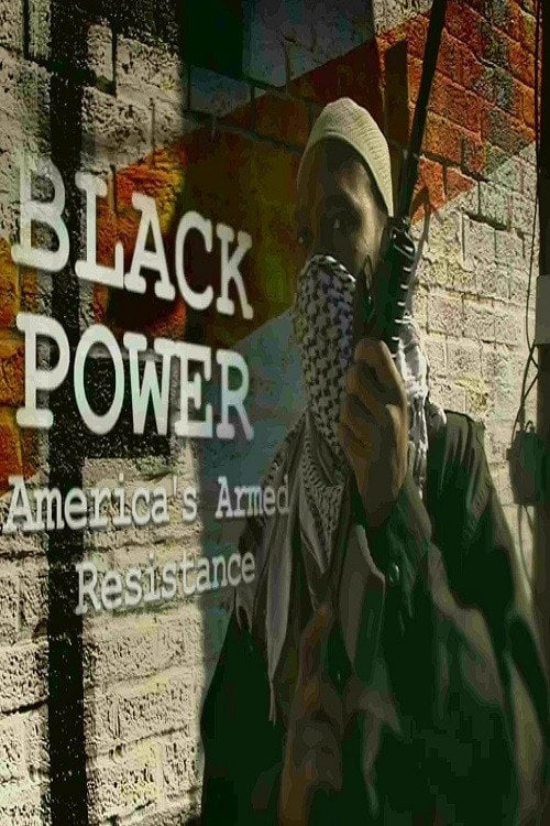 Movie poster for Black Power: America's Armed Resistance (2016)