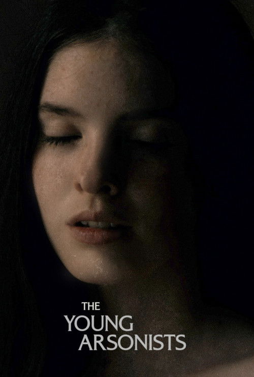 Movie poster for The Young Arsonists (2023)