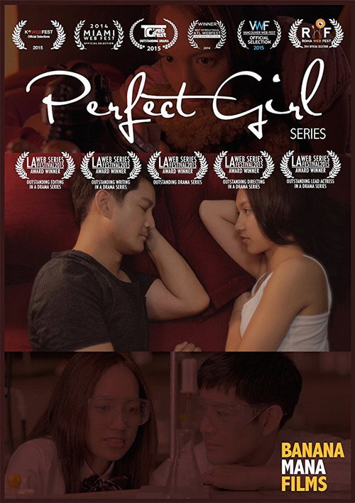 Movie poster for Perfect Girl (2014)