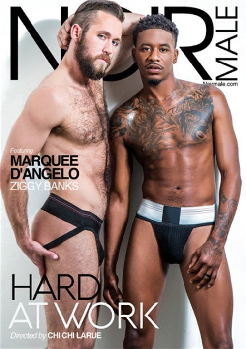 Movie poster for Hard At Work (2018)