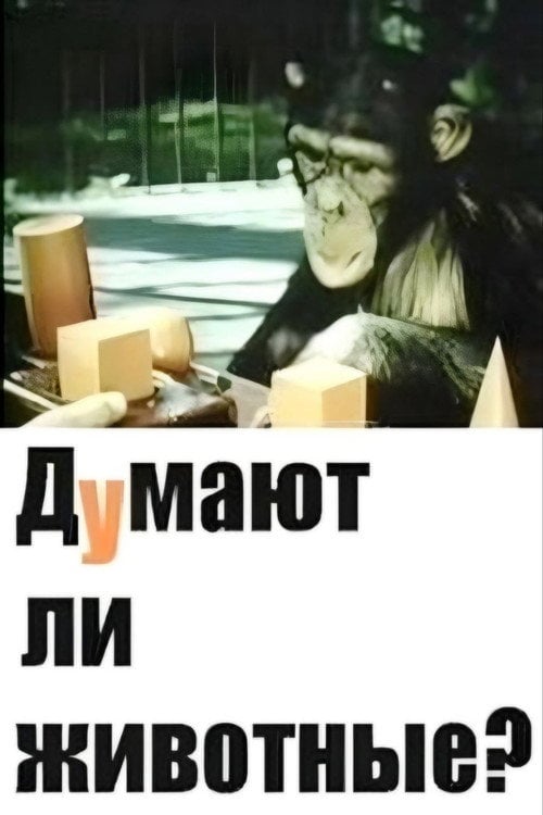 Movie poster for Do Animals Think? (1970)