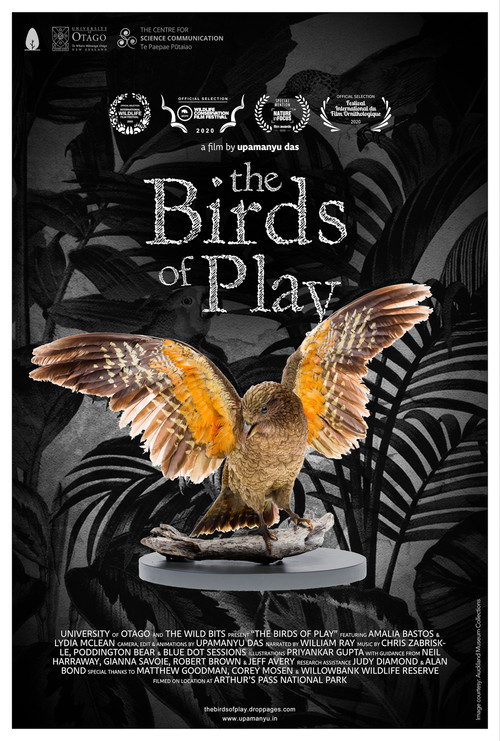 Movie poster for The Birds of Play (2019)