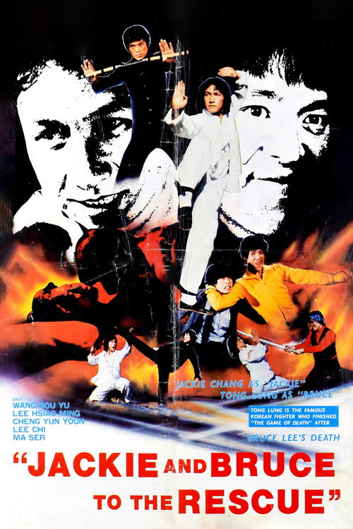 Movie poster for Jackie and Bruce to the Rescue (1982)