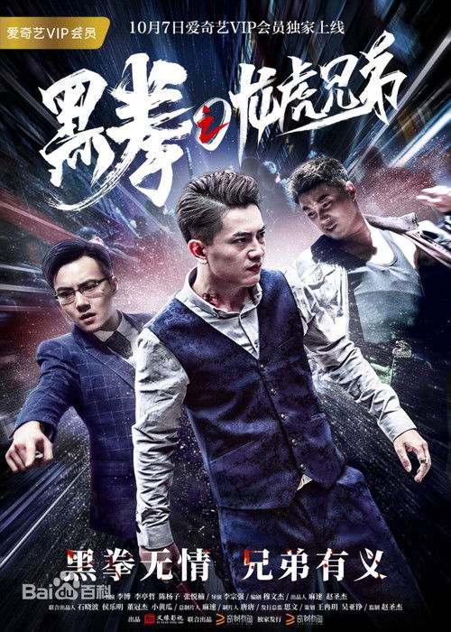 黑拳之龙虎兄弟 poster