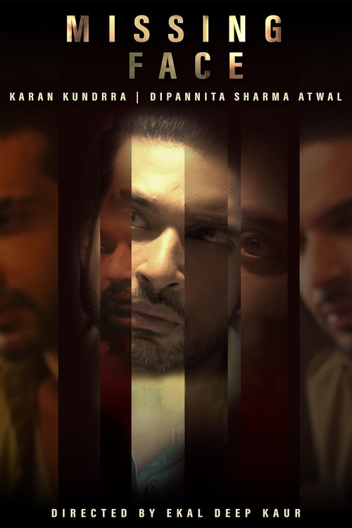 Movie poster for Missing Face (2025)