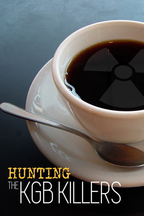 Movie poster for Hunting the KGB Killers (2017)
