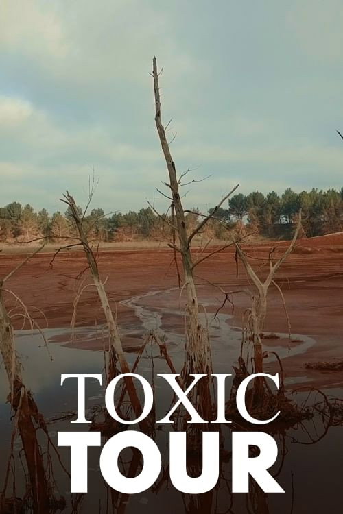 Series poster for Toxic Tour (2022)