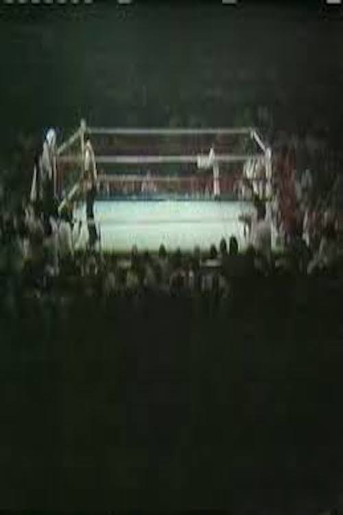 Movie poster for The Long Count III (Thrilla in Manila) (2001)