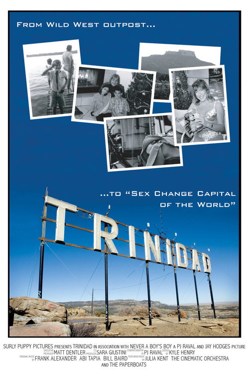 Movie poster for Trinidad (2008)