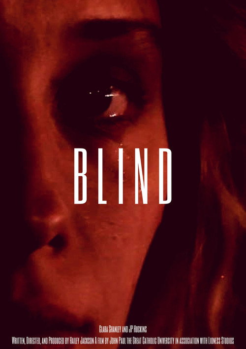 Movie poster for Blind (2017)