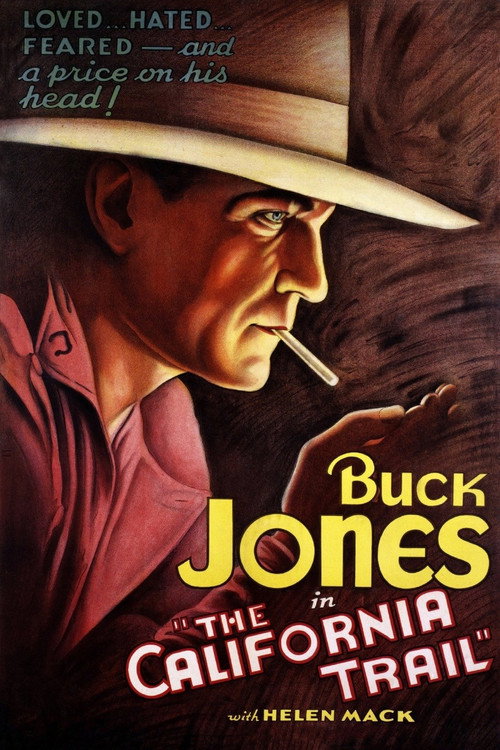 Movie poster for The California Trail (1933)