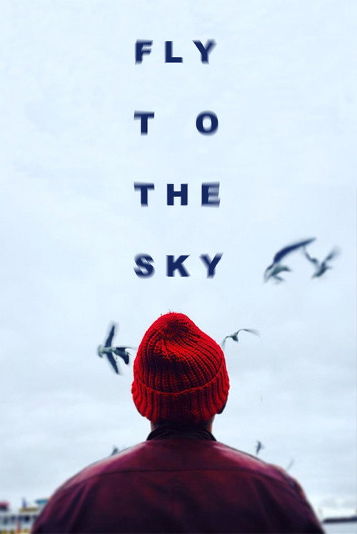 Movie poster for Fly To The Sky (2015)