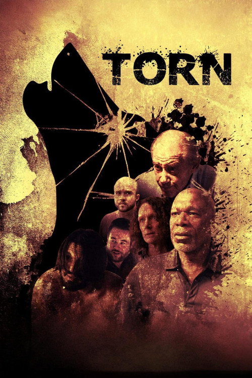 Movie poster for Torn (2023)
