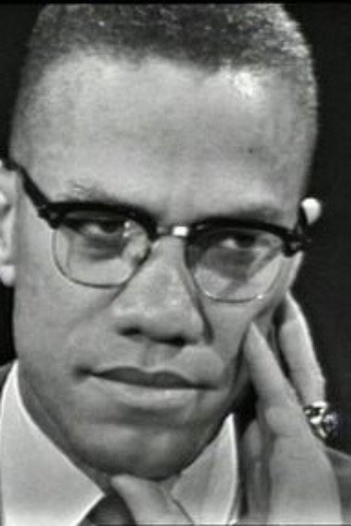 Movie poster for The Negro and the American Promise (1963)