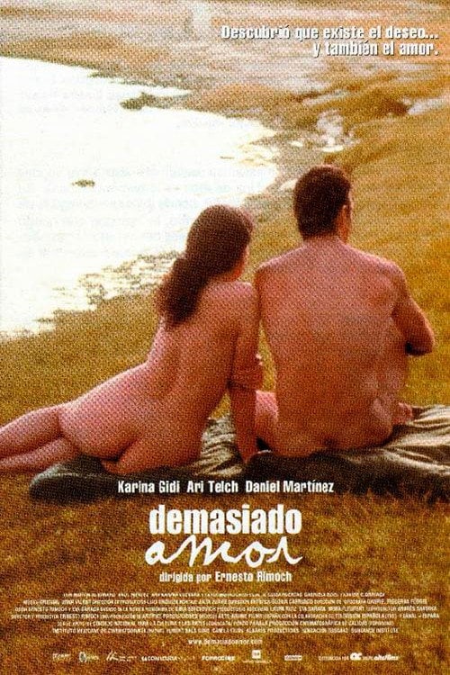 Movie poster for To Love Too Much (2002)