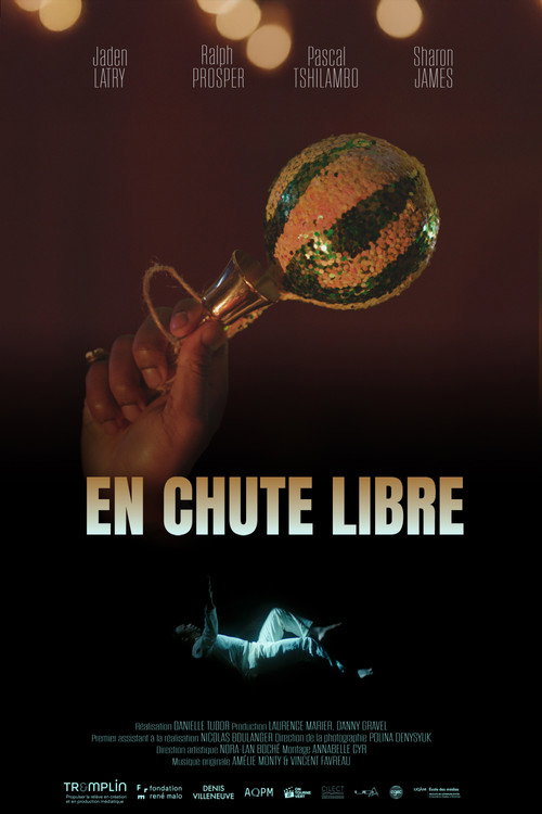 Movie poster for Free Falling
