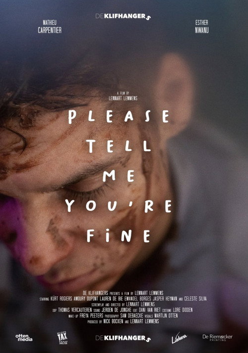 Movie poster for Please tell me you're fine (2024)