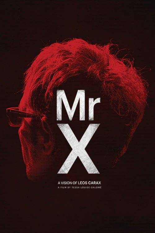 Movie poster for Mr. X (2014)