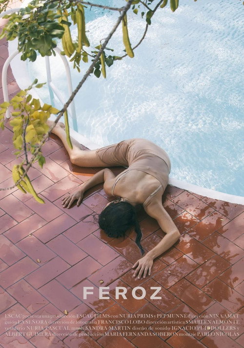 Movie poster for Feroz (2019)