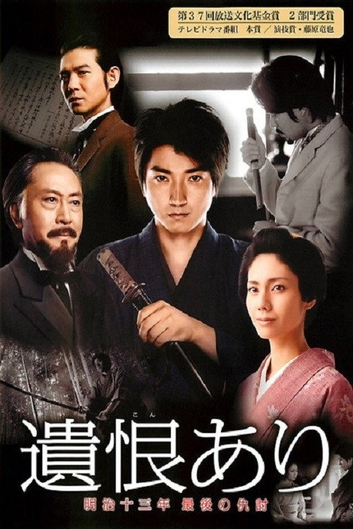 Movie poster for The Last Revenge (2011)