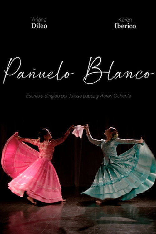 Movie poster for Pañuelo blanco (2024)