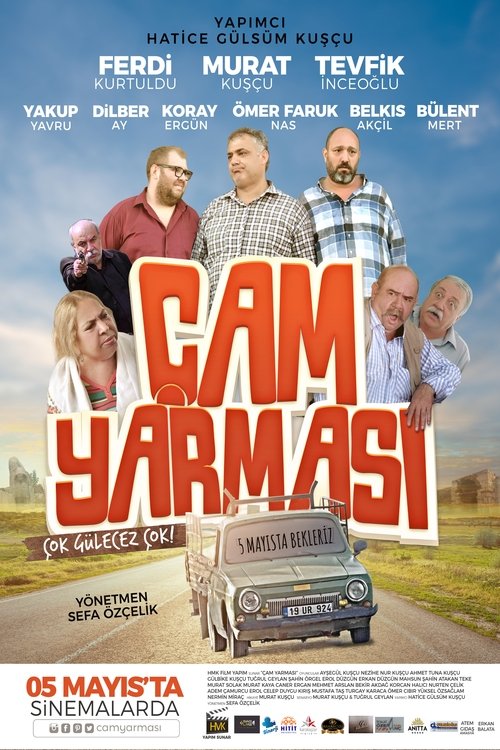 Movie poster for Çam Yarması (2017)
