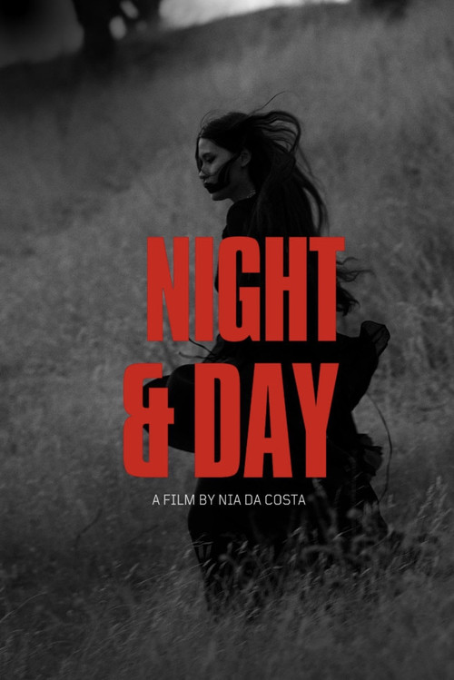 Movie poster for Night and Day (2013)
