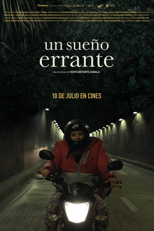 Movie poster for Un sueño errante (2025)