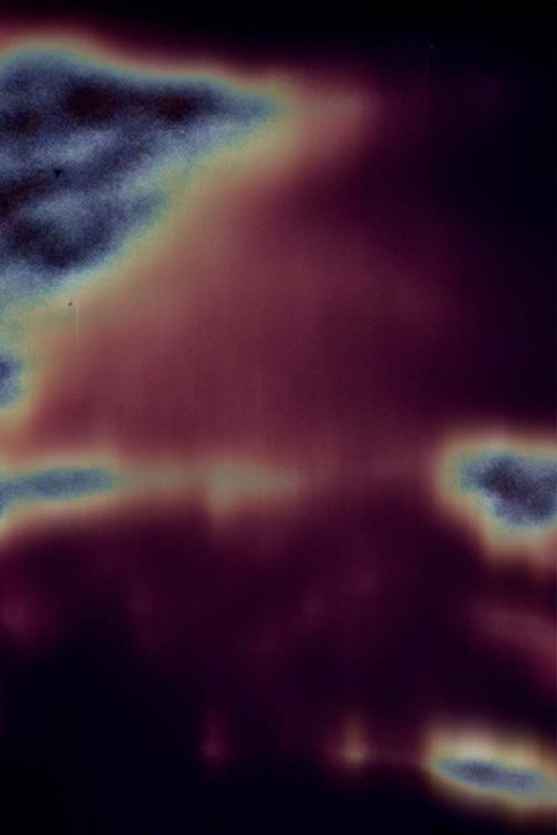 Movie poster for Lava (2022)