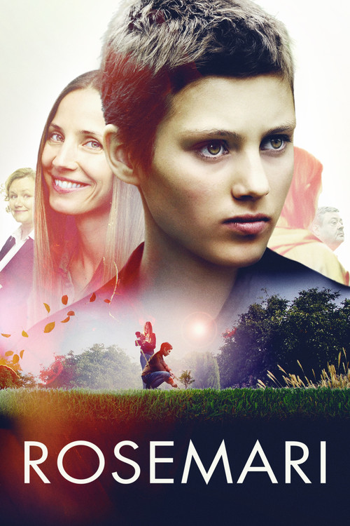 Movie poster for Framing Mom (2016)
