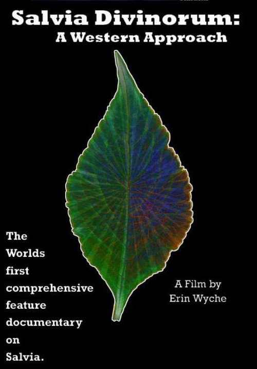 Movie poster for Salvia Divinorum: A Western Approach (2022)