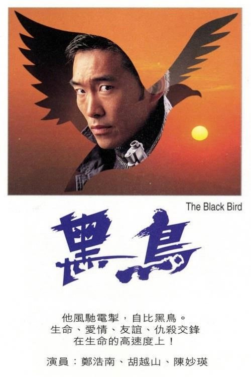 Movie poster for The Black Bird (1996)
