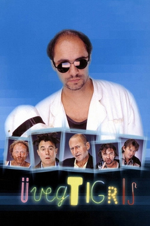 Movie poster for Glass Tiger (2001)