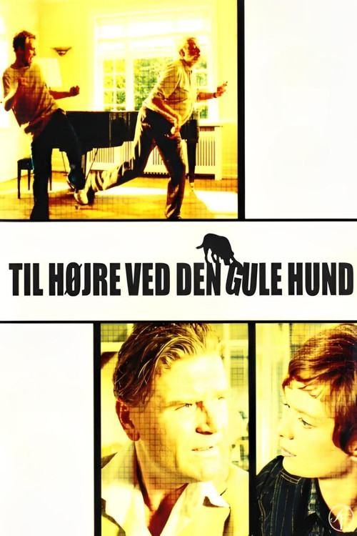 Movie poster for Turn Right by the Yellow Dog (2003)