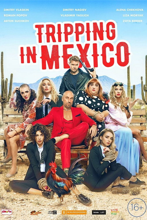 Movie poster for Tripping in Mexico (2019)