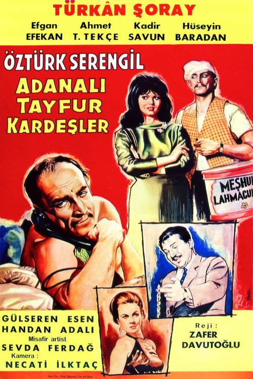 Movie poster for Adanalı Tayfur Kardeşler (1964)