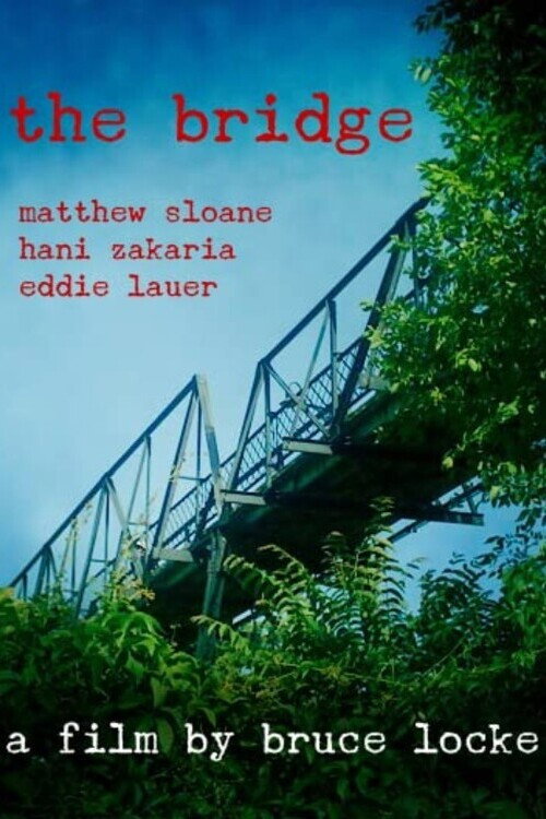 Movie poster for The Bridge (2012)