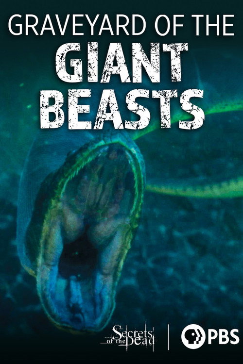 Movie poster for Secrets of the Dead: Graveyard of the Giant Beasts (2016)