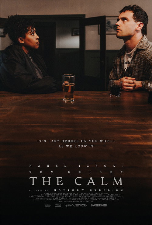 Movie poster for The Calm (2025)