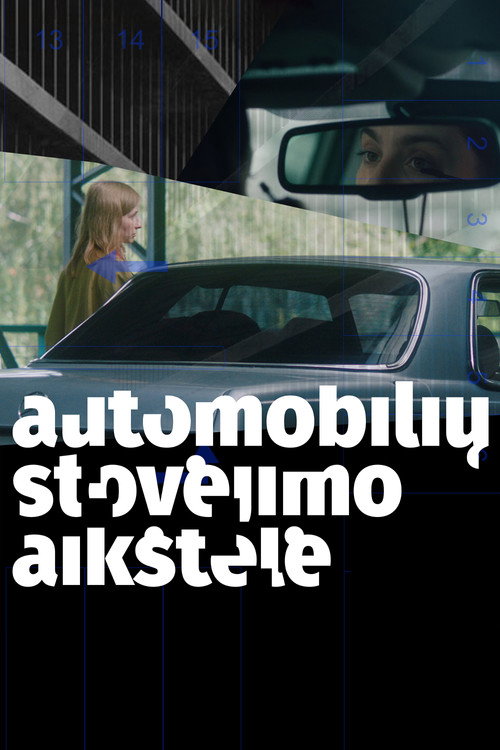 Movie poster for Parking Lot (2021)