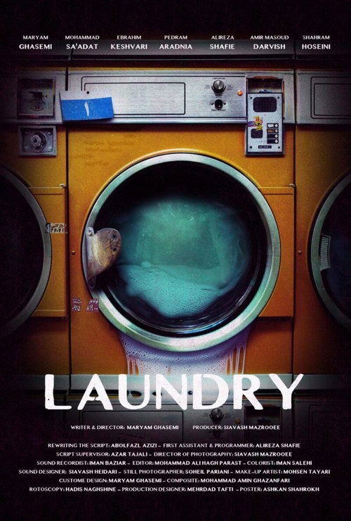 Movie poster for Laundry