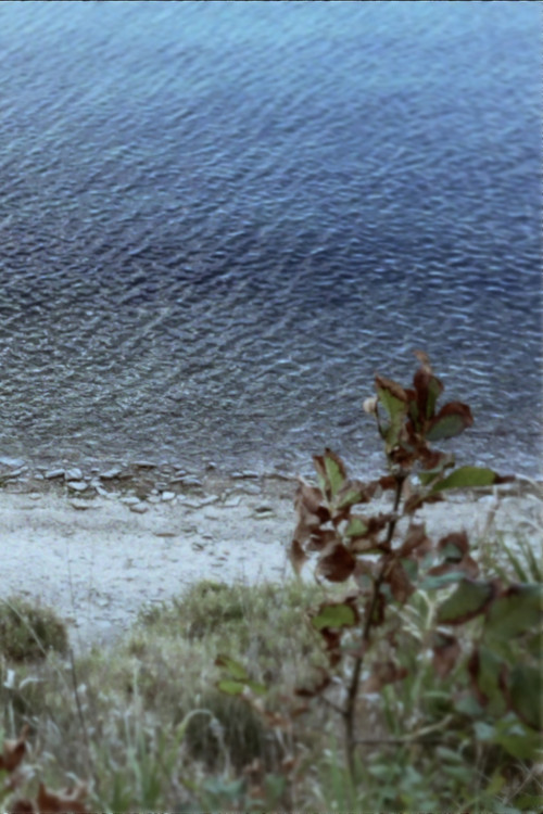 Movie poster for Seconda passeggiata - La casa in riva al mare (2018)